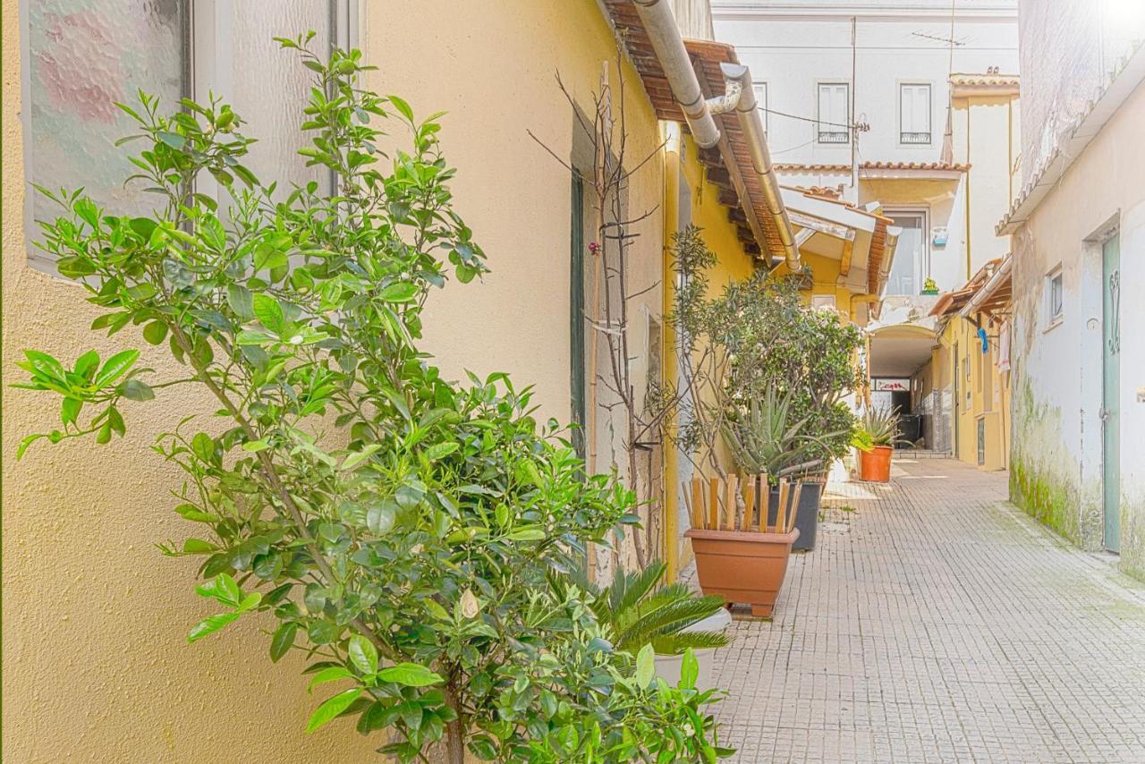 Cosy Duplex House In Downtown Lisboa Villa Exteriör bild